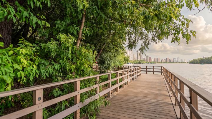 ЖК «City Bay» — Прогулочный настил вдоль воды